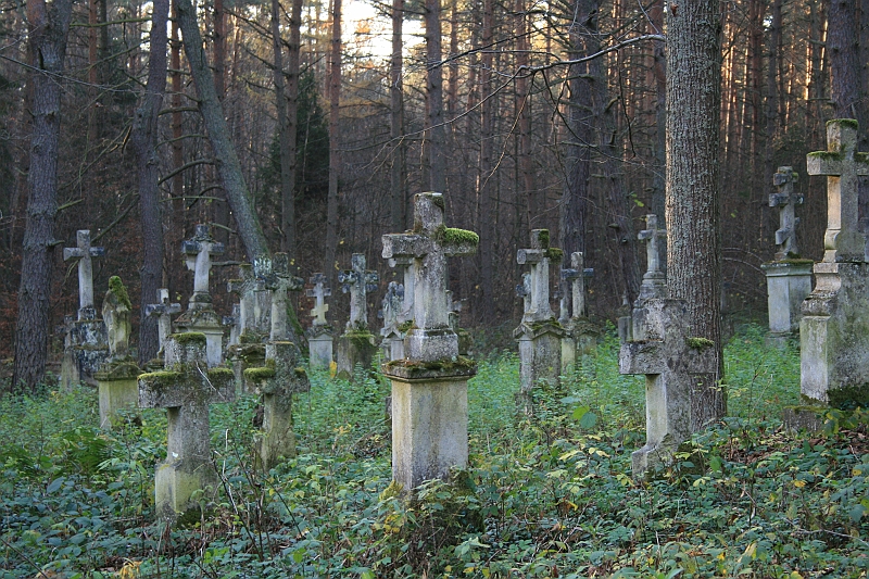 Rostoczek 11.2008 456